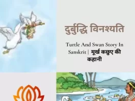 Turtle And Swan Story In Sanskrit
